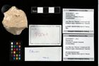 Foto (Objekt + Etikett) von Pithonoton sp.  (NHMW-GEO-2014-0194-0271)